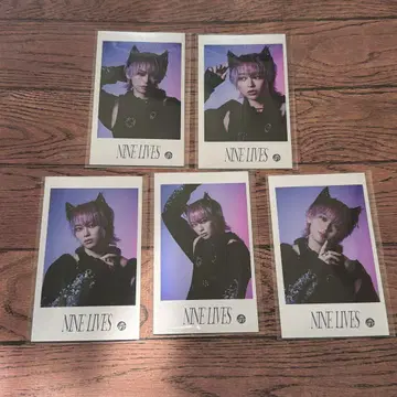 초특급 미니 사진 NINELIVES 슈야