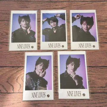 초특급 미니 사진 NINELIVES 마사히로