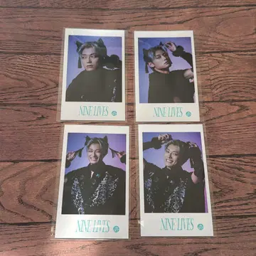 초특급 미니 사진 NINELIVES 알로하