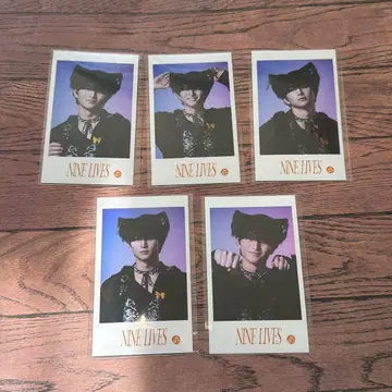 초특급 미니 사진 NINELIVES 하루