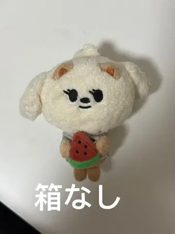 TXT 뿔바투 밤굿 봄규 키링 수박 팝업