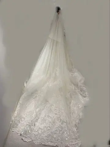 화이트 롱 트레인 웨딩 베일