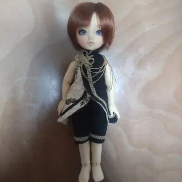 슈퍼돌피 유SD 카케루