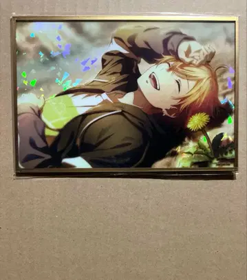 프로세카 하피콜레 아키토 아크릴 색지 해피 컬렉션 복권