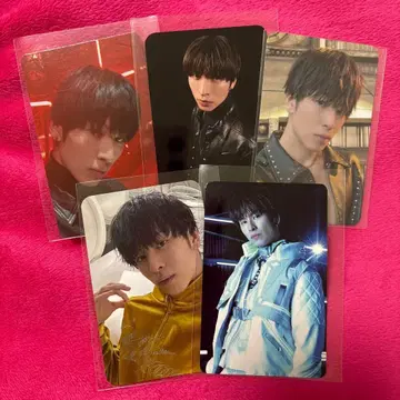 하세가와 마코토 트레이딩 카드 세트