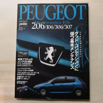 푸조 관리 파일