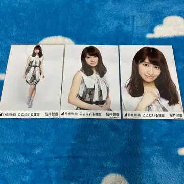 노기자카46 브로마이드 컴프 사쿠라이 레이카 여기에 있는 이유