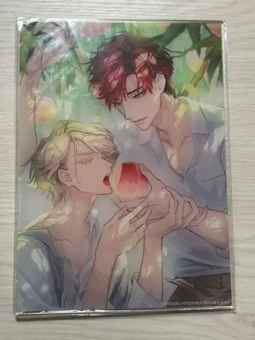 세라피 게임 아크릴 플레이트 히노하라 메구루 애니메이트 북 페어