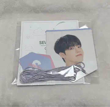 SEVENTEEN 가랜드 CARAT LAND