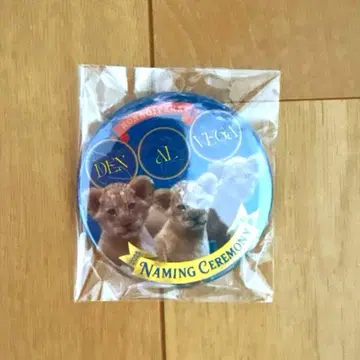 논호이 파크 캔뱃지 사자 아기 동물원