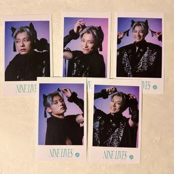 초특급 Aloha REAL NINELIVES 미니 사진 컴프