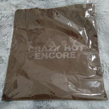 르세라핌 토트백 브라운 투어 한정판