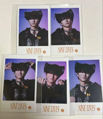 초특급 하루 미니 사진 컴프 세트