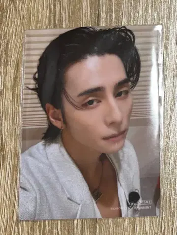 니시 코토 L Lemino 페스 L판 하프 브로마이드