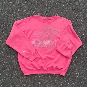 90s Northern Reflections 코튼 맨투맨