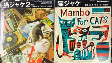 고양이 재킷 2권 세트 (훌륭한 네코드의 세계)