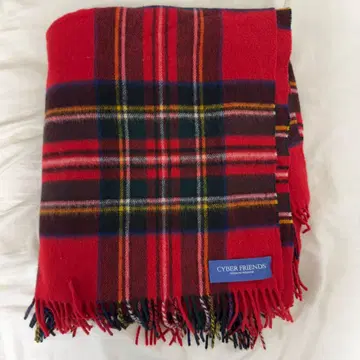 we11done 체크 머플러 지드래곤 gdragon 웨일던