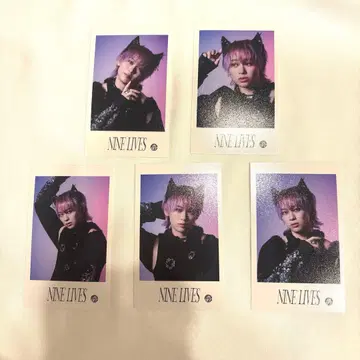 초특급 슈야 NINE LIVES Real? 미니 사진 컴프