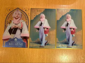 플라뮤 클리어 카드 윌메쉬