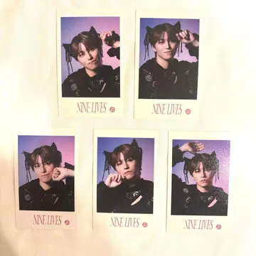 초특급 타카시 NINELIVES 미니 사진 컴프 5장 세트