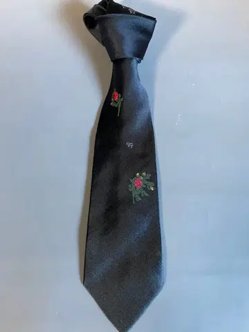 도미닉 프랑스 넥타이