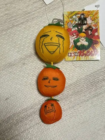 골드 컬러의 갓슈!! 미깡 참