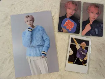 팬더 드래곤 타이거 포스카 트레이딩 카드 해피카 세트