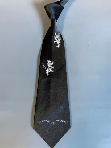 도미닉 프랑스 넥타이