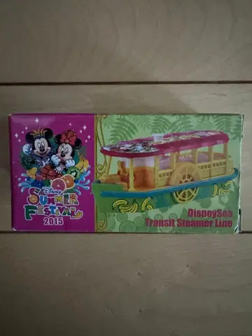 Disney Summer Festival 2015 미니카