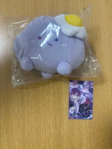 우키 비올레타 메이구루미 폴라로이드 니지산지