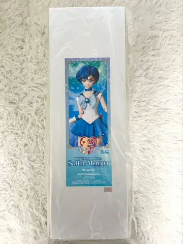 DDS 세일러문 세일러 머큐리 돌 인형 피규어 보크스