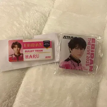 에비라이 2025 초특급 하루 굿즈 세트