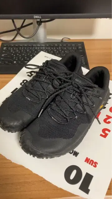 머렐 트레일 그로브