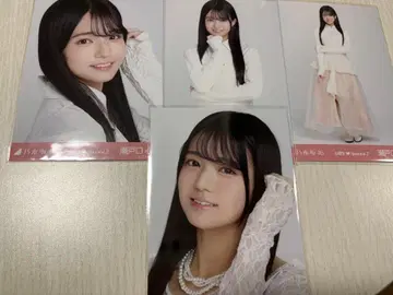 세토구치 신게츠 6기생 Special 2 묶음 판매 신참자