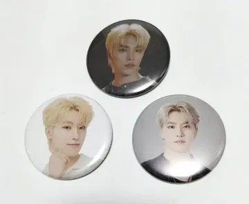 SEVENTEEN 디노 트레이딩 캔뱃지 세트 3개 중고