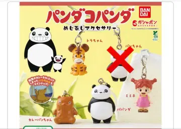 팬더코팬더 메지루시 액세서리 세미 컴플리트