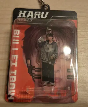 초특급 REAL? 랜덤 블리스터 키링 하루