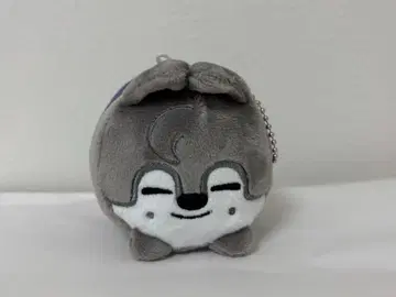 SKZOO 울프  백참