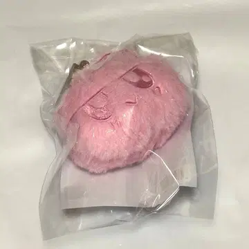 SEVENTEEN 세부치 봉봉이 로컬 키링 도쿄