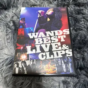 WANDS BEST LIVE & CLIPS DVD