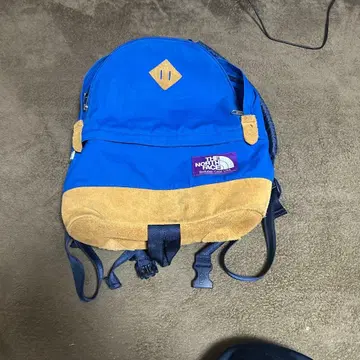 THE NORTH FACE 파랑 백팩