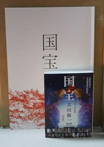 국보 상권 하권 영화 팜플렛 세트