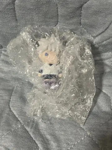 헌터헌터 제일복권 h상 키루아