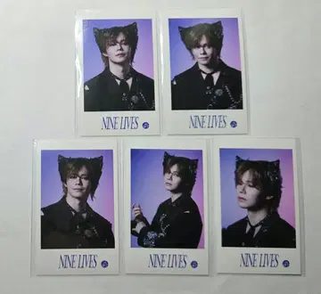 초특급 미니 사진 카이 5장