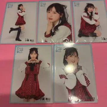 AKB48 오구리 유이 팀B 최애