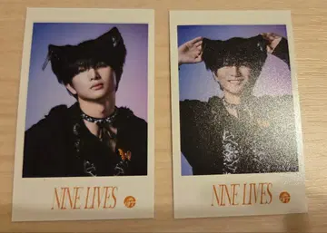 초특급 NINE LINES 미니 사진 하루 2장 세트