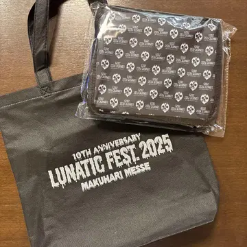 LUNATIC FEST. 2025 VIP 파우치