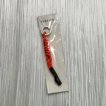 25SS CLESSTE 코드 참스 001 (ORANGE)