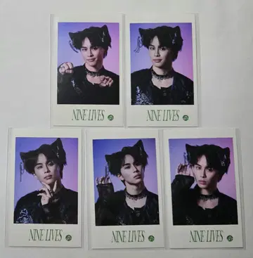 초특급 미니 사진 타쿠야 5장