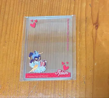 해즈빈 호텔 데코 케이스 아담